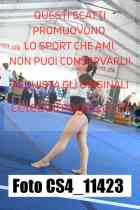 CS4_11423-