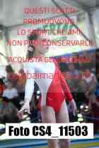 CS4_11503-