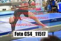 CS4_11517-