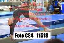 CS4_11518-