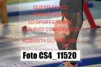 CS4_11520-