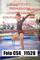 CS4_11528-