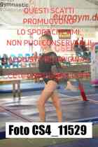 CS4_11529-