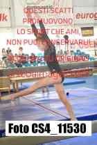 CS4_11530-