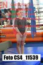 CS4_11539-