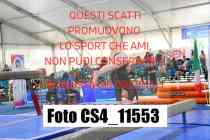 CS4_11553-