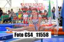 CS4_11558-