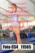 CS4_11565-