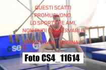 CS4_11614-
