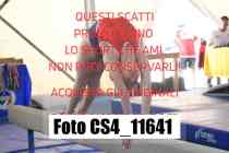 CS4_11641-