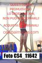 CS4_11642-