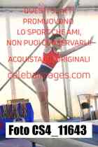 CS4_11643-