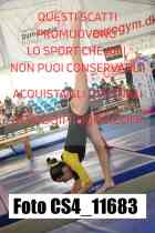CS4_11683-