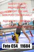 CS4_11684-