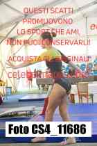 CS4_11686-