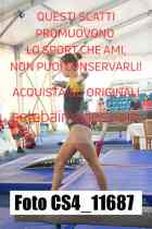 CS4_11687-