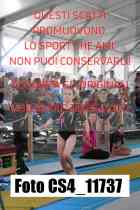 CS4_11737-