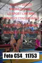 CS4_11753-
