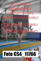 CS4_11766-