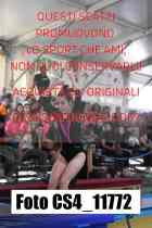 CS4_11772-