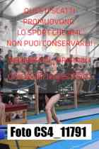CS4_11791-