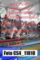CS4_11818-