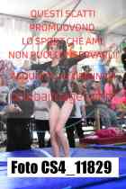 CS4_11829-