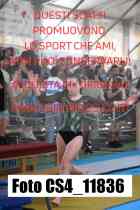CS4_11836-