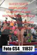 CS4_11837-