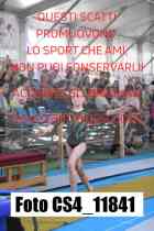 CS4_11841-