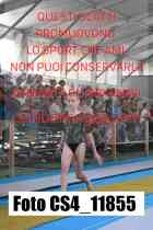 CS4_11855-