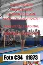CS4_11873-