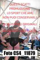CS4_11879-
