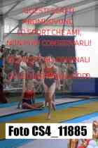 CS4_11885-