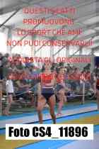CS4_11896-