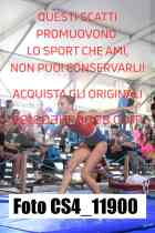 CS4_11900-
