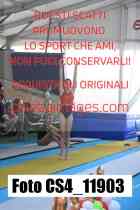 CS4_11903-