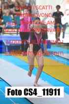 CS4_11911-