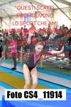 CS4_11914-