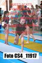 CS4_11917-