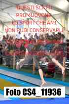 CS4_11936-