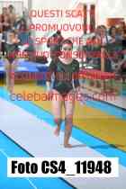 CS4_11948-