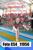 CS4_11956-