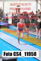 CS4_11958-
