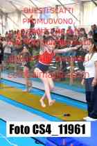 CS4_11961-