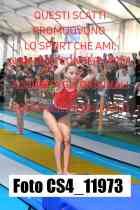 CS4_11973-