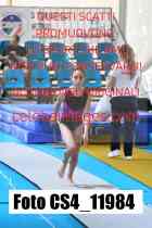 CS4_11984-