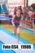 CS4_11986-