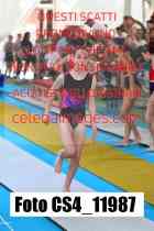 CS4_11987-