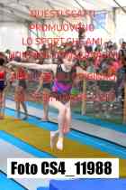 CS4_11988-